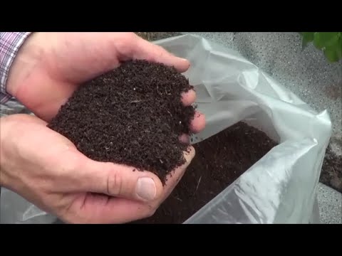 Видео: ТТ37  Биогумус под корень. На голой глине выращиваем отличный урожай огурцов и томатов вермикомпост