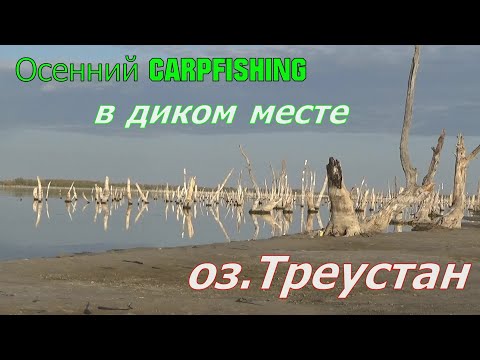 Видео: Особенности ловли КАРПА на озере ТРЕУСТАН
