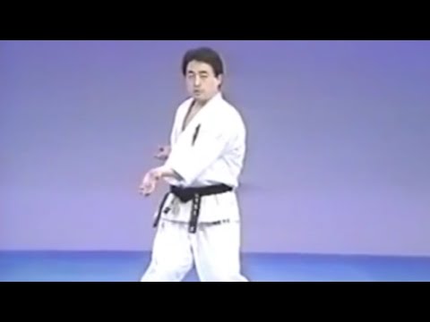 Видео: 29 - Удары руками - Шуто Хизо Учи