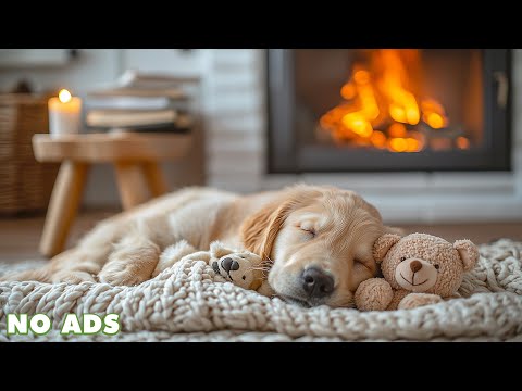 Видео: Красивая Расслабляющая Музыка для Собак🐶🌈Музыка для Снятия Разлуки Расслабить Питомцев🐕