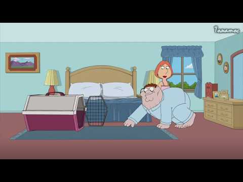 Видео: 🍅 Гриффины лучшие и смешные моменты в HD. #12 🍅