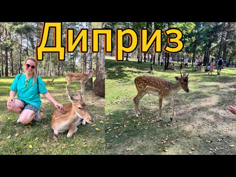 Видео: Парк животных Диприз. Барановичи. Беларусь 