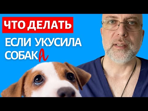 Видео: Что делать если укусила собака | Доктор Елизаров: Как обработать рану. Первая помощь