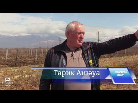 Видео: Аҭыхратә гәыҧ Очамчыра_информ ааигәа Очамчыра араион амцабз ахьыҟалаз аҭыԥ иаҭааит.