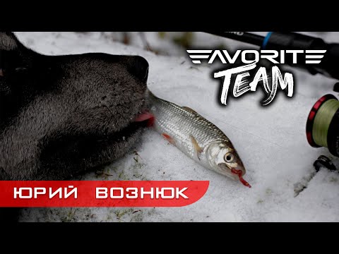 Видео: ГОЛАВЛЬ ЗИМОЙ на спиннинг! Лучшие места ловли, приманки и монтажи. Favorite Team