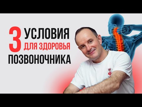Видео: 3 условия здоровья позвоночника