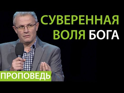 Видео: Суверенная воля Бога. Проповедь Александра Шевченко