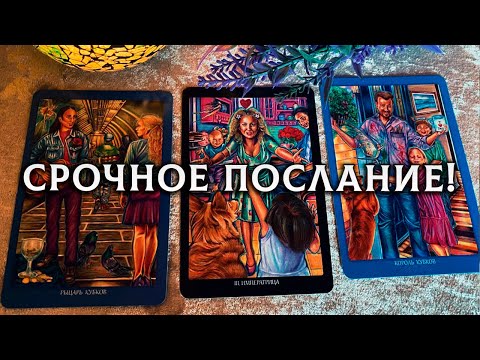 Видео: ОШЕЛОМИТЕЛЬНЫЕ НОВОСТИ! СРОЧНОЕ ПОСЛАНИЕ ВЫСШИХ СИЛ ДЛЯ ВАС!