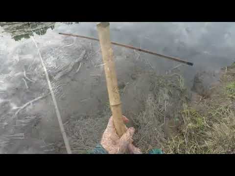 Видео: Рыбалка на экраны  Река