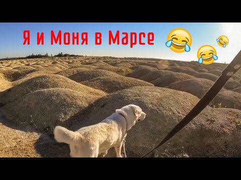 Видео: Я и Моня в Марсе )) || Борницкие Карьеры || Прогулка с Алабаем