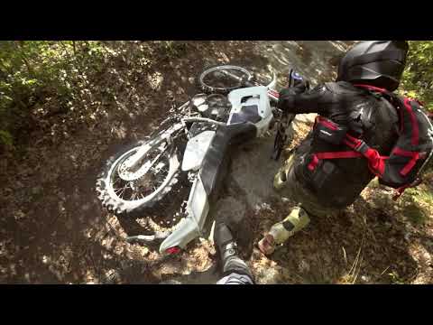 Видео: Талант ПРОПЬЁШЬ!