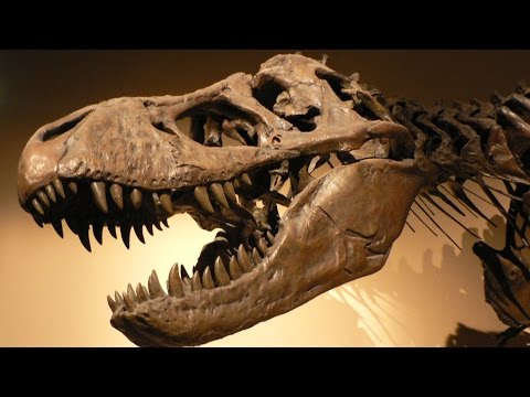 Видео: Больше, чем тиранозавр - #1 Док. Эпизод.