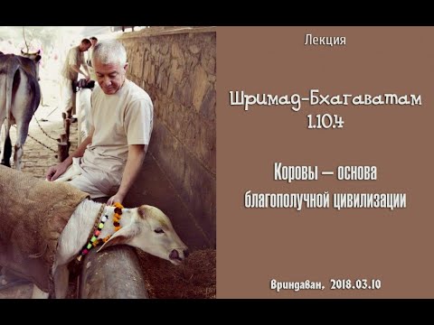 Видео: Чайтанья Чандра Чаран Прабху - 2018.03.10, Вриндаван, ШБ 1.10.4, Коровы - основа цивилизации