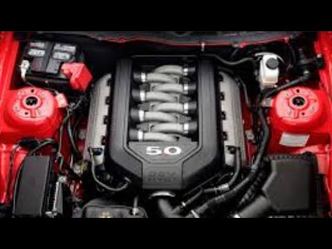 Видео: Есть ли у 5-литрового Coyote «мокрый» ремень? Давайте выясним. #newtoyou #ford #v8engine