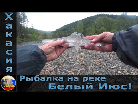 Видео: Хакасия! Рыбалка на реке "Белый Июс!