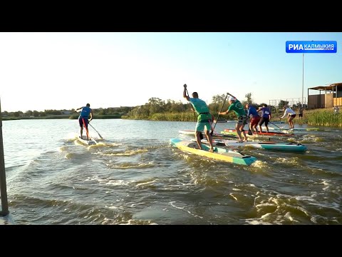 Видео: Глава Калмыкии принял участие в Фестивале лотосов