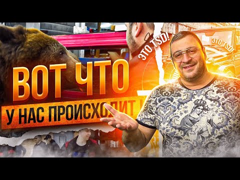 Видео: ТАЙНЫ компании TSD! Жизнь вне камер I РЕМОНТ, ПРИКОЛЫ, МЕДВЕДЬ, СЕКРЕТЫ, ответы на все вопросы...