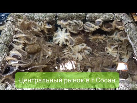Видео: Рынок в Корее | уличная еда на рынке | Сосан