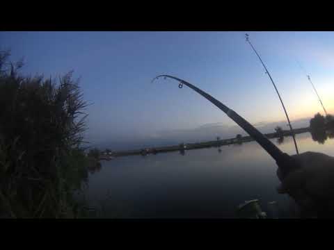 Видео: Рыбалка в Алматы !!! Такого улова я не ожидал 😱😱😱😱.2023 год