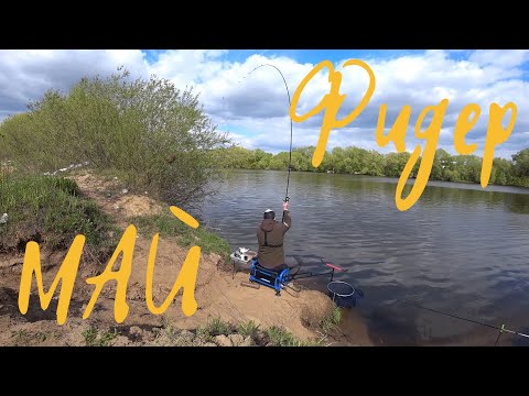 Видео: ЛУЧШЕЕ ВРАГ ХОРОШЕГО. ИСКАЛИ НОВЫЕ МЕСТА, ПРИЕХАЛИ НА СТАРЫЕ. Панамафиш#71