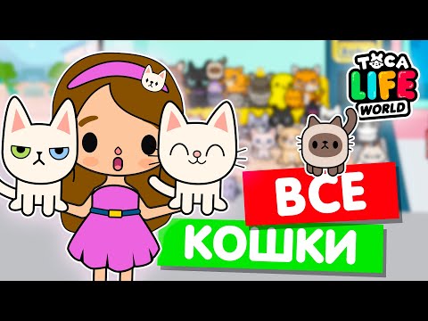 Видео: СОБИРАЮ ВСЕХ КОШЕК в Тока Бока 🐈 Toca Life world