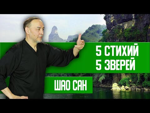 Видео: Игра 5 Зверей - оздоровление Жизни | Шао Сан