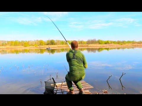 Видео: АКТИВНИЙ КЛЬОВ КРУПНОГО КАРАСЯ НА ПОПЛАВЧАНКУ!!! Риболовля на поплавець
