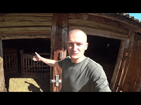 Видео: КУПИЛ ХУТОР в ЛЕСУ на КРАЮ БОЛОТА. ЖИВУ в ЛЕСУ в ПОЛНОМ ОДИНОЧЕСТВЕ. №198.