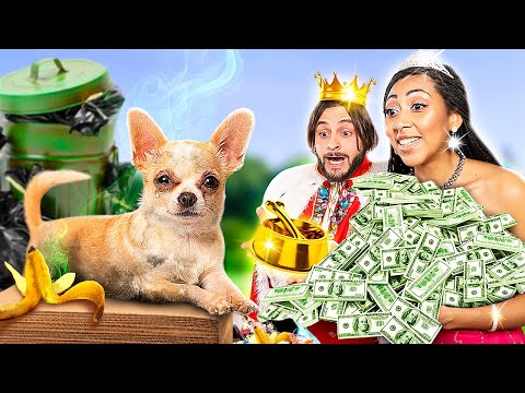 Видео: Если бы королевская семья приютила бедную собаку!