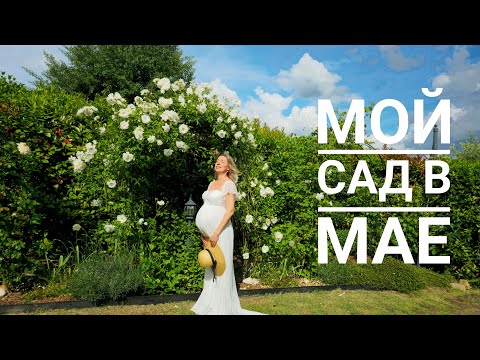 Видео: Мой сад под солнцем Тосканы в мае...