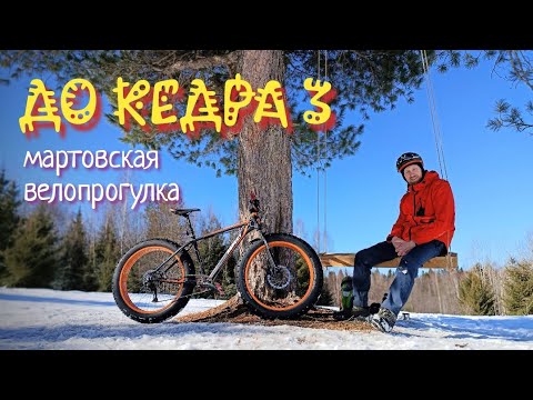 Видео: До кедра 3 / мартовская велопрогулка