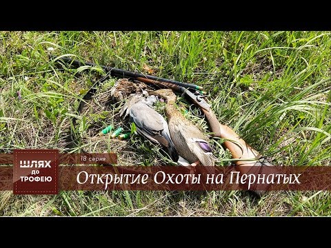 Видео: Открытие Охоты на Пернатых [Шлях до Трофею №18]