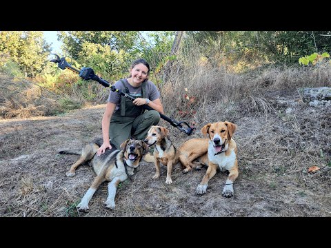 Видео: Прогресс! Ограждение семейной фермы