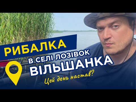 Видео: Рыбное хозяйство ВИЛЬШАНКА с. Лозовок Черкасская область