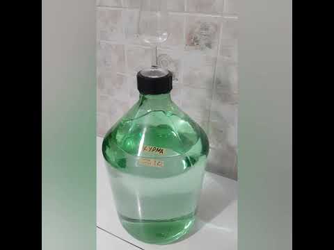 Видео: Самогон из Хурмы от А до Я, полный обзор. Постановка хурмовой браги, Брожение. Перегон браги.