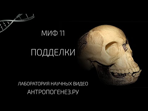 Видео: Подделки. Мифы об эволюции человека.