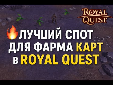 Видео: 🔥 Лучший спот для фарма карт в Royal Quest
