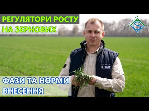 Видео: РЕГУЛЯТОРИ РОСТУ НА ЗЕРНОВИХ: в які фази та якими дозами найкраще вносити? / СуперАгроном
