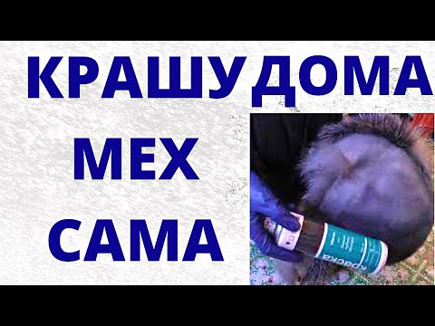 Видео: Как покрасить натуральный мех краской для замши самому в домашних условиях ?