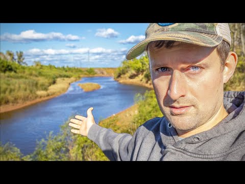Видео: Мне разрешили ловить рыбу в этой ЧАСТНОЙ МЕДОВОЙ НОРЕ! (Полной ГИГАНТОВ!)