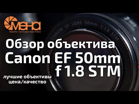 Видео: Обзор объектива Canon EF 50mm f 1.8 STM (Лучший объектив для новичка)