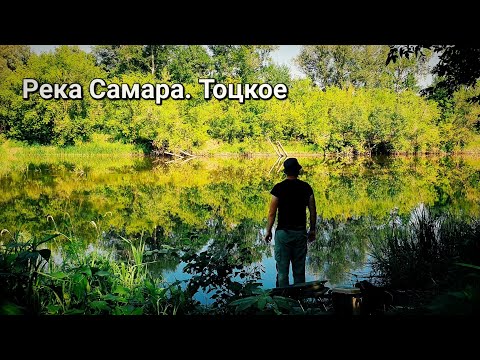 Видео: ДИКАЯ РЕКА САМАРА И ПРИЯТНЫЙ БОНУС НА ЗОРЬКЕ! РЫБАЛКА НА ФИДЕР. ТОЦКОЕ