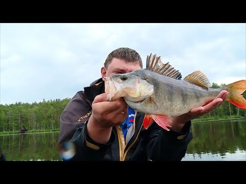 Видео: Как ловить на блесну вертушку трофейную щуку и окуня?Проводка блесны.Рыбалка с AikoLand TV