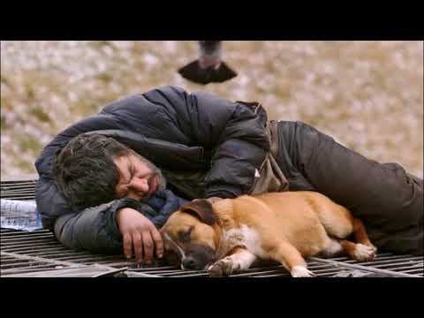 Видео: Бескорыстная любовь и преданность собак!  Бездомные и их псы The homeless and their dogs