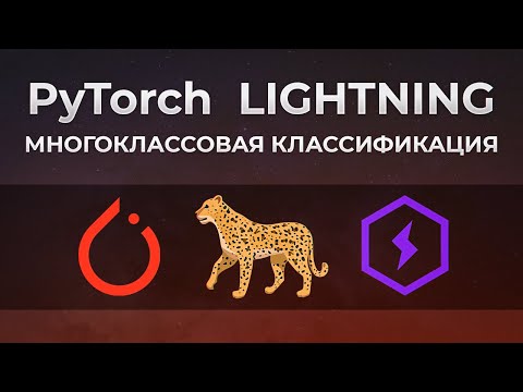 Видео: Классификация изображений с pyTorch Lightning