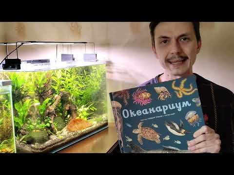 Видео: Блог Аквариумании s2: Аквариумистика, освещение в моих аквариумах, чистка фильтра и прочее.