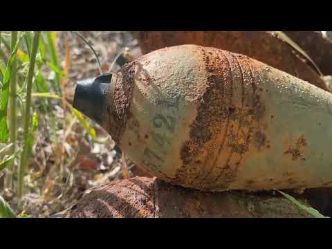 Видео: Летний зной в Сталинградских степях. Копаем на грани солнечного удара☀️