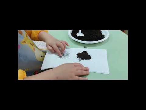 Видео: "Топырақ. Топырақтың құрамы мен қасиеті".