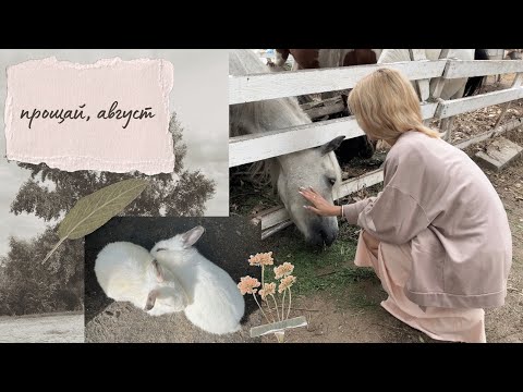 Видео: прощание с августом. осень?🍂