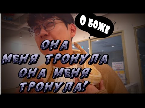 Видео: Кафе под надзором хвостатых / кафе с животными / Часть 2